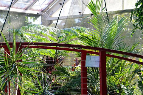 Australian Butterfly Sanctuary- Virtual Interactive Tour With Private Guide - Find Attractions 2