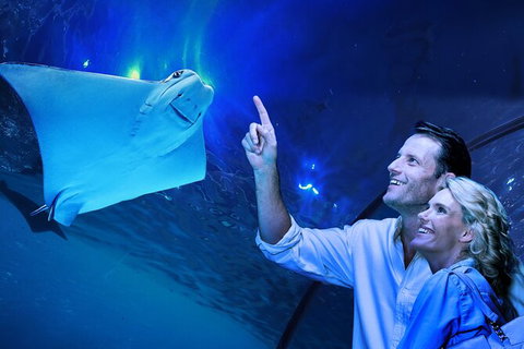 Cairns Aquarium Tour By Twilight With Drink And Appetiser - Find Attractions 0