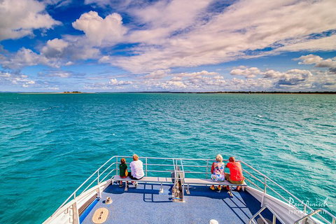 Sandy Straits Scenic & Wildlife Cruise - Find Attractions 7