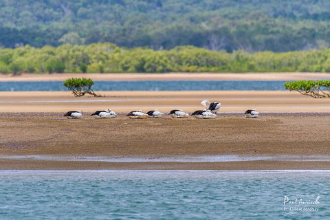 Sandy Straits Scenic & Wildlife Cruise - Find Attractions 3