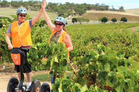 Segway Tour At Seppeltsfield Winery - Find Attractions 5
