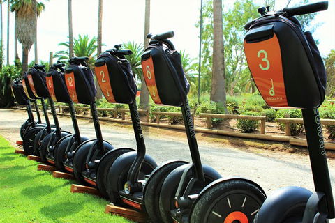 Segway Tour At Seppeltsfield Winery - Find Attractions 3