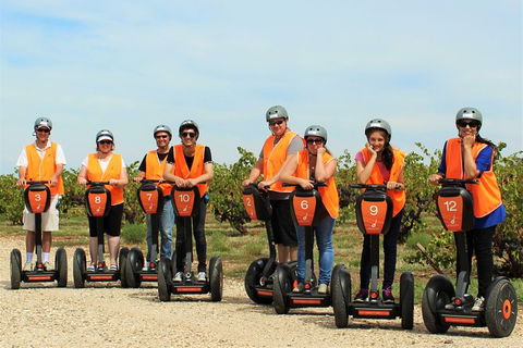 Segway Tour At Seppeltsfield Winery - Find Attractions 8