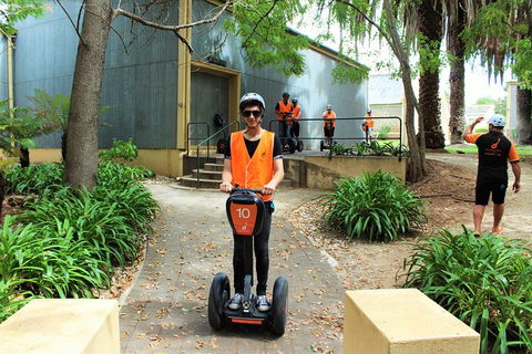 Segway Tour At Seppeltsfield Winery - Find Attractions 1