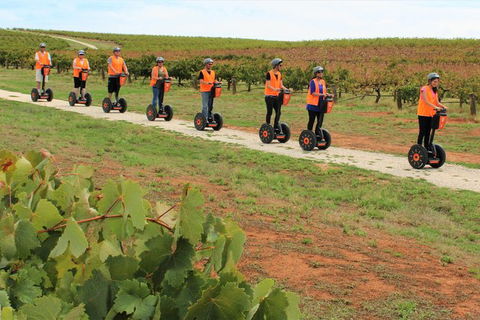 Segway Tour At Seppeltsfield Winery - Find Attractions 7