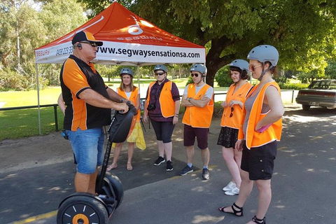 Segway Tour At Seppeltsfield Winery - Find Attractions 9