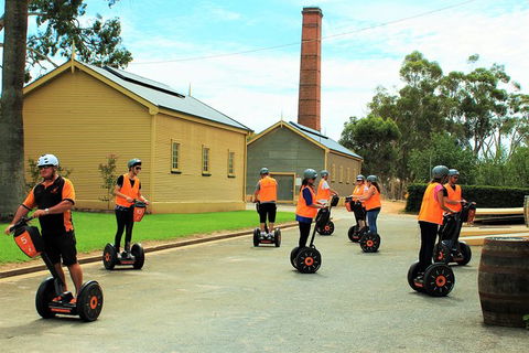 Segway Tour At Seppeltsfield Winery - Find Attractions 4