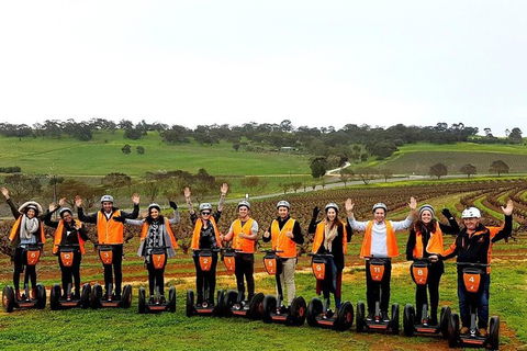 Segway Tour At Seppeltsfield Winery - Find Attractions 0