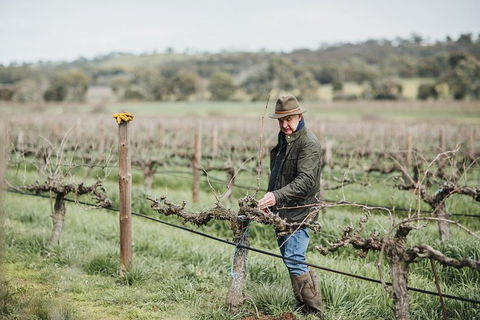 Armagh Vineyard Exclusive Wine Experience And Lunch - Find Attractions 0