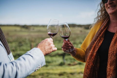 Armagh Vineyard Exclusive Wine Experience And Lunch - Find Attractions 1