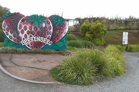Adelaide Hills Regional / Hahndorf German Village Tour - Find Attractions 6