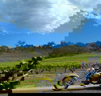 Unique Trike Barossa Valley Half Day Private Tour For 2 - Find Attractions