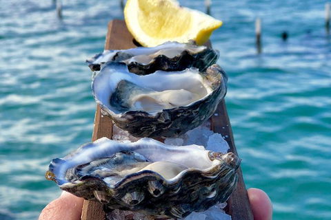 Coffin Bay Oysters, Ocean & Nature Tour - Find Attractions 0