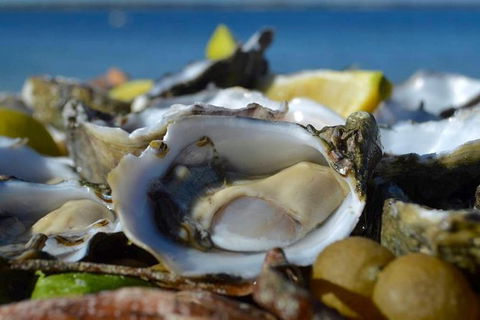 Coffin Bay Oysters, Ocean & Nature Tour - Find Attractions 8