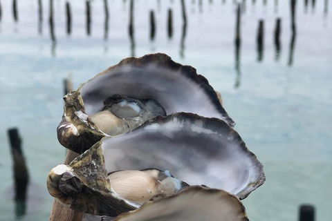 Coffin Bay Oysters, Ocean & Nature Tour - Find Attractions 6