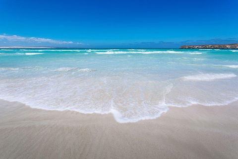 Coffin Bay Oysters, Ocean & Nature Tour - Find Attractions 14