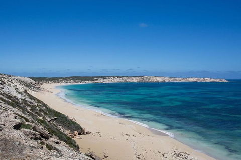 Coffin Bay Oysters, Ocean & Nature Tour - Find Attractions 16