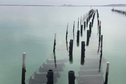 Coffin Bay Oysters, Ocean & Nature Tour - Find Attractions 15