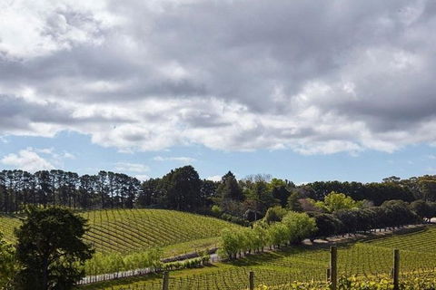 Adelaide Hills Full Day Winery Tour With Tastings - Find Attractions 4