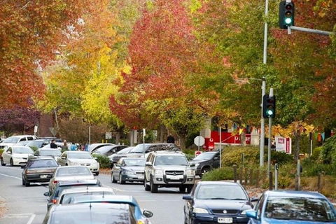 Adelaide Hills Full Day Winery Tour With Tastings - Find Attractions 3