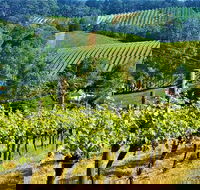 Adelaide Hills Private Day Tour - Find Attractions