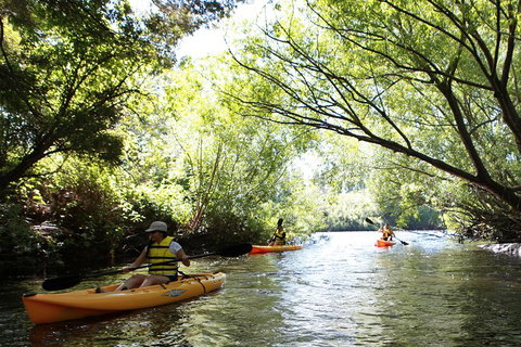 Paddle With The Platypus Twilight Kayak Adventure - Find Attractions 0
