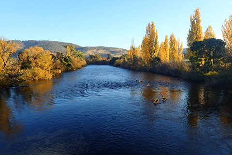 Paddle With The Platypus Twilight Kayak Adventure - Find Attractions 3