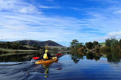 Paddle With The Platypus Twilight Kayak Adventure - Find Attractions 5