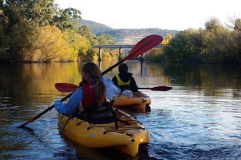 Paddle With The Platypus Twilight Kayak Adventure - Find Attractions 1