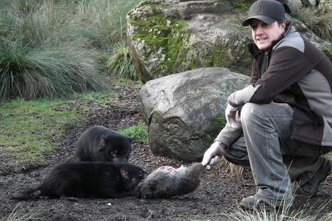 After Dark Tasmanian Devil Feeding Tour At Cradle Mountain - Find Attractions 0