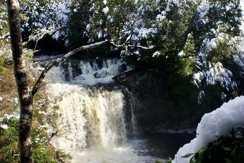 Cradle Mountain Park Explorer - Find Attractions 1