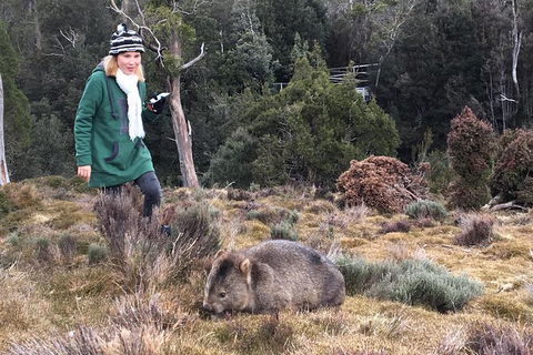 Shore Excursion - Cradle Mountain Day Tour From Burnie - Find Attractions 1