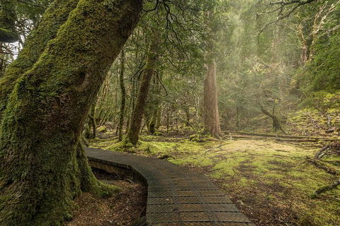 Shore Excursion - Cradle Mountain Day Tour From Burnie - Find Attractions 3