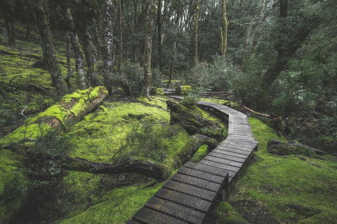 Shore Excursion - Cradle Mountain Day Tour From Burnie - Find Attractions 2