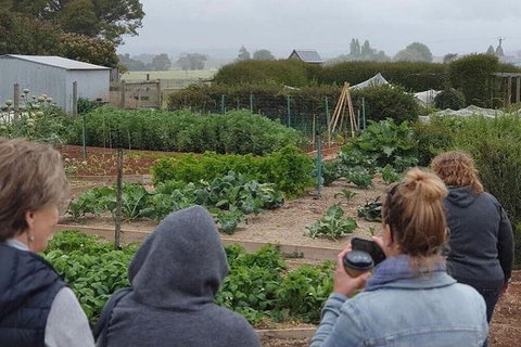 Unearthed Chefs Tour - Find Attractions 17