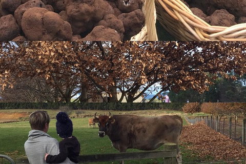 Unearthed Chefs Tour - Find Attractions 6