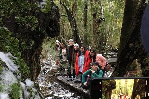 Cradle Mountain In A Day From Hobart - Find Attractions 5