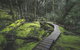 Cradle Mountain In A Day From Hobart - thumb 3