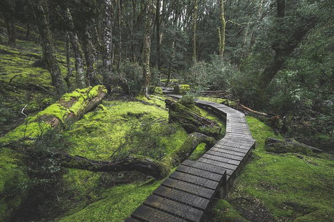 Cradle Mountain In A Day From Hobart - Find Attractions 3