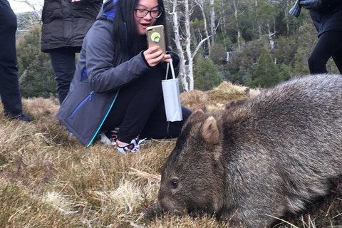 Cradle Mountain In A Day From Hobart - Find Attractions 4