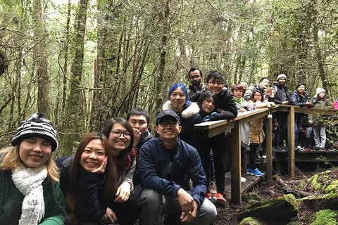 Cradle Mountain In A Day From Hobart - Find Attractions 2