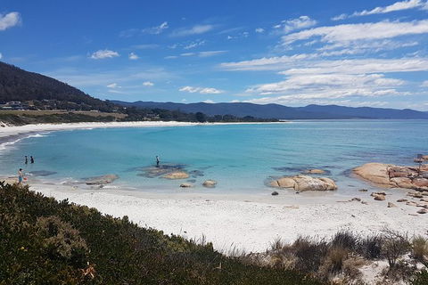 Wineglass Bay Day Tour - Find Attractions 3