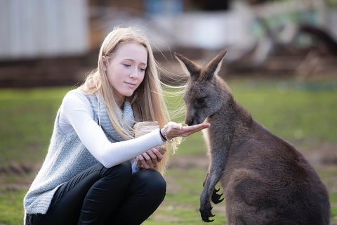 Cruise Ship Special From Hobart: Richmond And Bonorong Wildlife Park Shuttle - Find Attractions 4