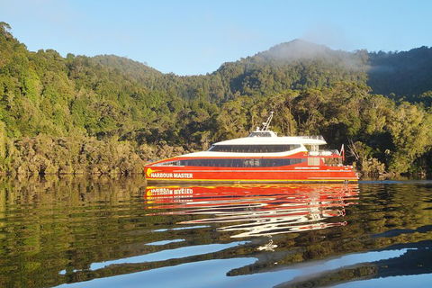 Afternoon Gordon River Dinner Cruise - Departing 3pm - Find Attractions 1