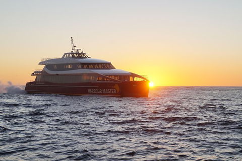 Afternoon Gordon River Dinner Cruise - Departing 3pm - Find Attractions 0