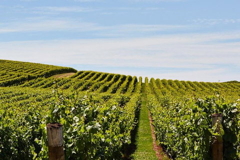 Launceston Wine & Sightseeing Tours - Find Attractions 3