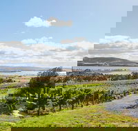 Launceston Wine  Sightseeing Tours - Find Attractions