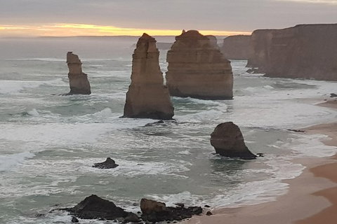Private Express Experience - 12 Apostles - Find Attractions 0