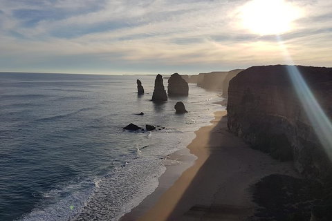 Private Express Experience - 12 Apostles - Find Attractions 10