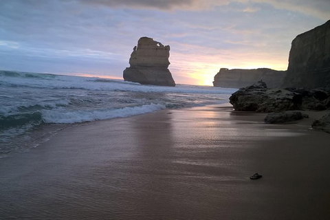 Private Express Experience - 12 Apostles - Find Attractions 19